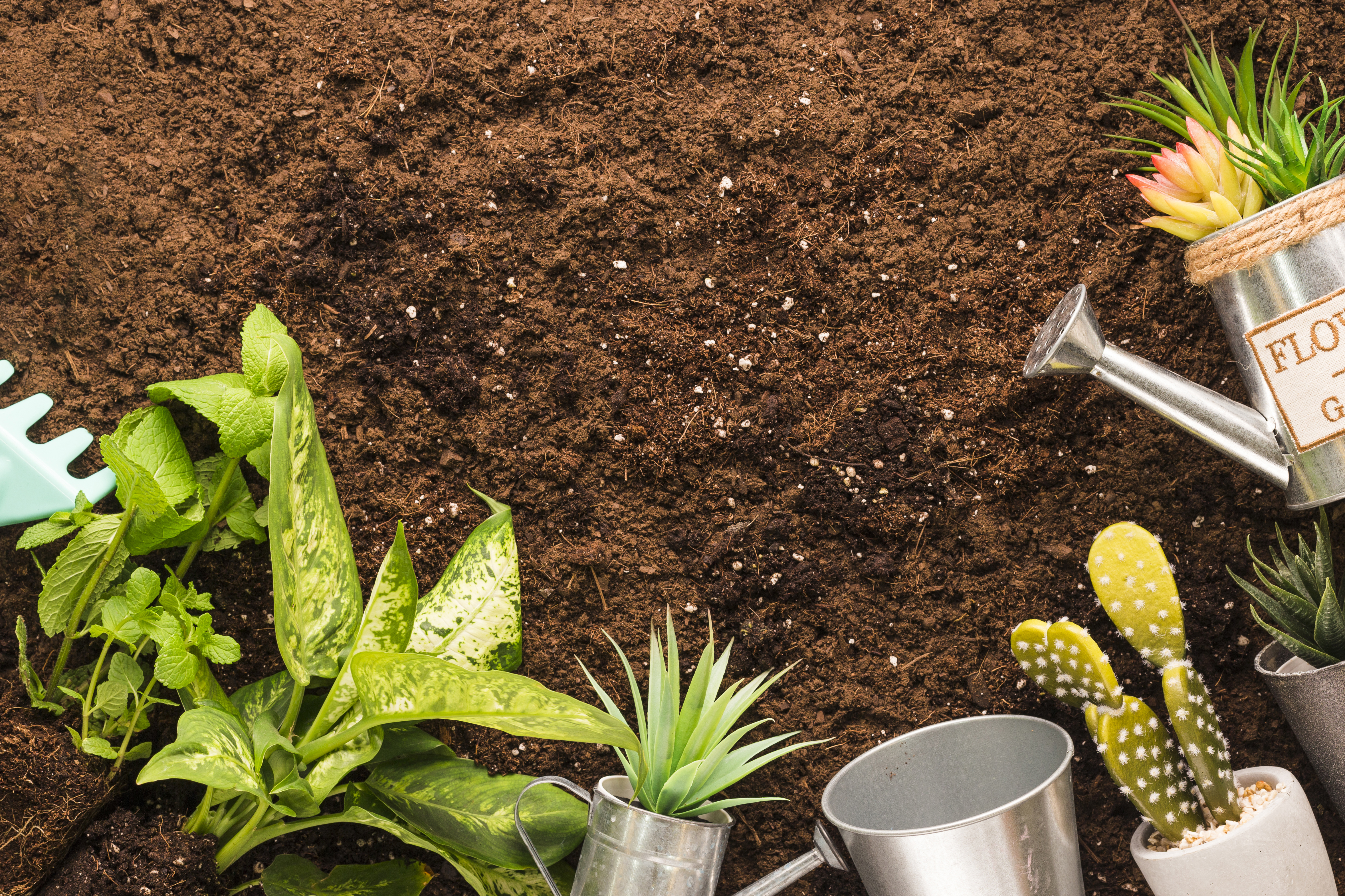 GreenGrow organic fertilizer products - pellets and powder